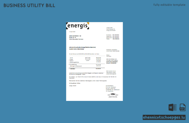 Beispielrechnung des Energieversorgers Energis in Deutschland (Vorschau)